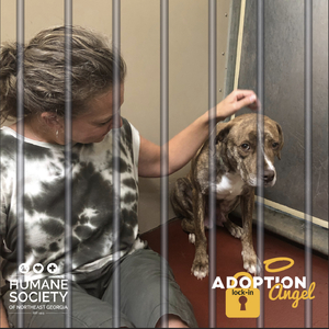 Fundraising Page: Amy Cook